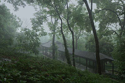 Landscape of West Lake Villa